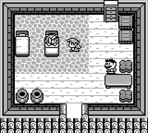 zelda_links_awakening_window